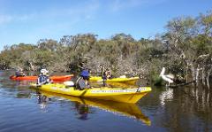 Canning River Half Day Tour  (Kent Street Weir)